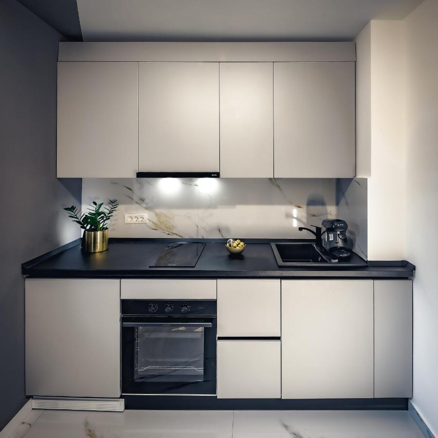 Central Luxury Home تيميشورا المظهر الخارجي الصورة