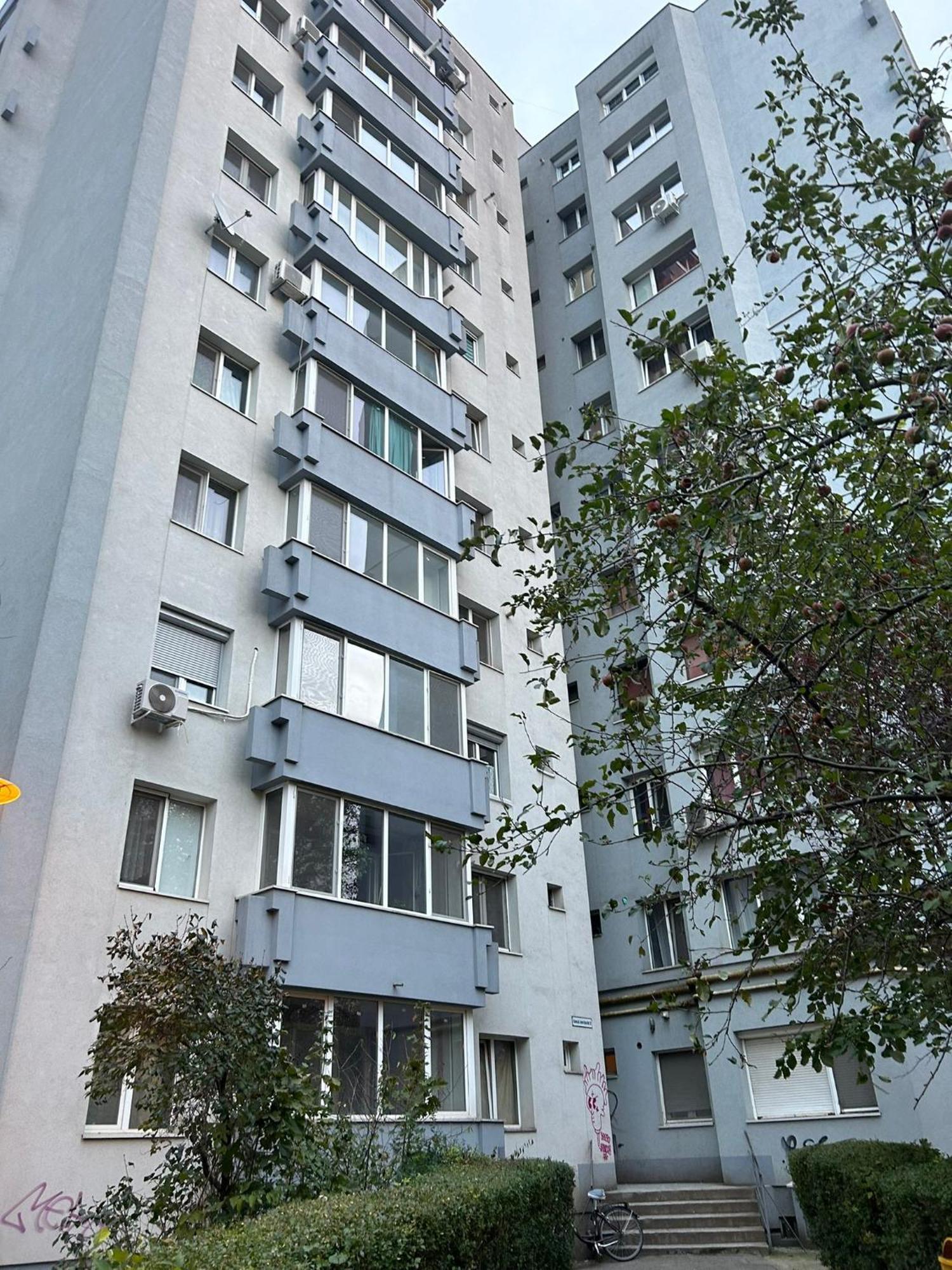 Central Luxury Home تيميشورا المظهر الخارجي الصورة